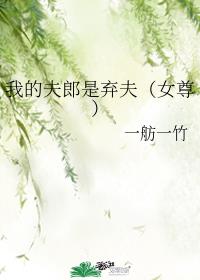 我的夫郎是弃夫[女尊]