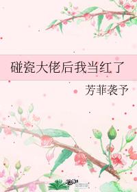 碰瓷大佬后我当红了