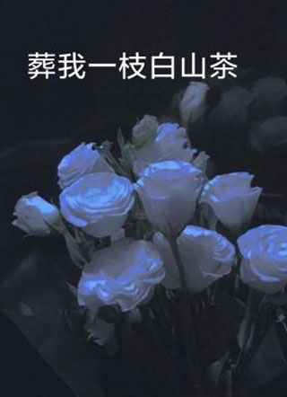 葬我一枝白山茶